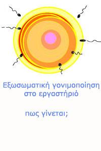 12. Πόσα έμβρυα τοποθετούνται; Συνήθως τοποθετούνται 2-3 έμβρυα ή και λιγότερα αν η ποιότητά τους δεν είναι ικανοποιητική.