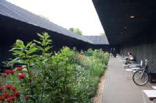 Tudela-Culip Restoration Project, EMF landscape