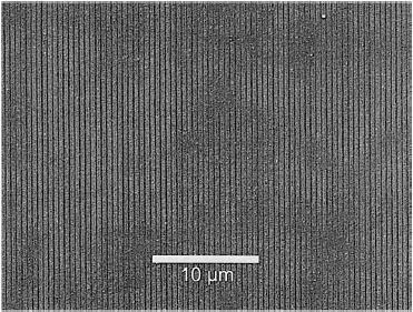 ΚΕΦΑΛΑΙΟ 1 ΕΙΣΑΓΩΓΗ Οι F. Beinhorn et.al.