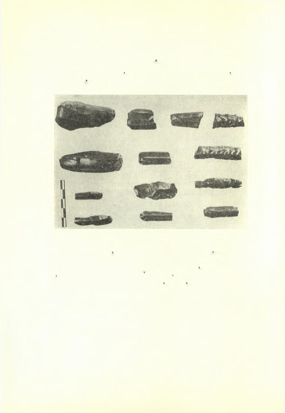 92 Πρακτικά τής Αρχαιολογικής 'Εταιρείας 1951 Διάφορα ευρήματα Μικρόν τμήμα μαρμάρινου