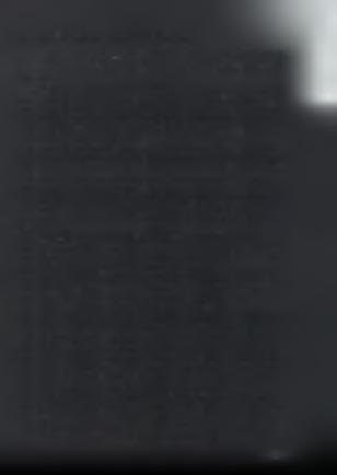 1.5.3 ΣΚΟΠΟΣ ΤΟΥ ΠΡΟΤΥΠΟΥ- ΕΦΑΡΜΟΓΗ Όπως έχει ήδη αναφερθεί, το πρότυπο απευθύνεται σε όλους τους οργανισμούς που εμπλέκονται σε ένα ή περισσότερα στάδια της αλυσίδας τροφίμων, ανεξαρτήτως του είδους
