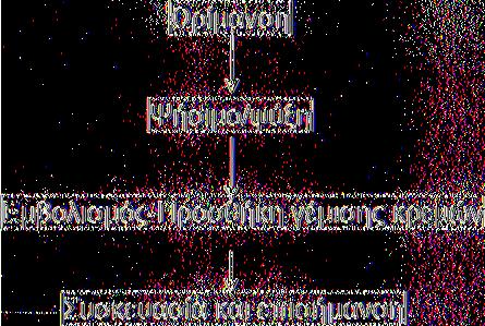 μίξης στο πιεστήριο ζύμης CCP2 1 Μορφοποίηση της ζύμης Μίξη της ζύμης με λάδι I