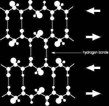 Betastructura este de asemenea stabilizată de legături de hidrogen între