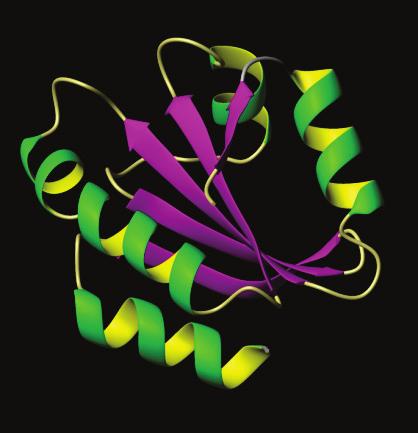 Structura terțiară a proteinelor este determinată de secvența aminoacizilor
