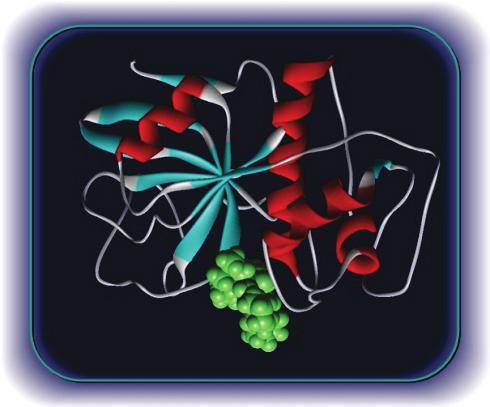 În structura terțiară a proteinelor globulare aflate în mediul apos radicalii