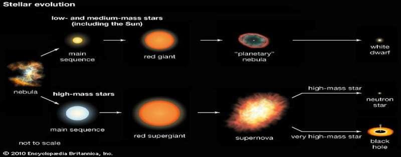 Το αστέρι έχει κάψει όλο το Ήλιον και ο πυρήνας είναι γεμάτος Άνθρακα Αν τελικά έχει έχει μάζα 3,2 Mο> M > 1,4 Mο, η θερμοκρασία στον πυρήνα του λόγω της βαρυτικής συστολής μπορεί να ανέβει στους