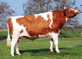 εκτροφές /61 +1855 kg -0.47 % +30 kg -0.