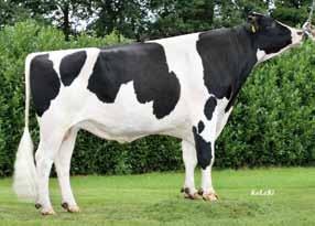 678524 Snowman ( O-Man) Hanecy VG 86 (