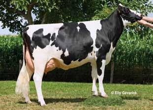 42 460 Leonie VG 85 ( Major) La 4