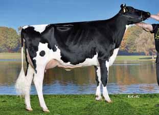 Anecy VG 86 ( Delta Largo) πλάτος