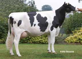 Titanic v. Storm ( Storm) Giraff VG 85 ( Bench-Eddi) La 2 15518 3.74 581 3.36 522 Graphic VG 87 ( Col Duster) La 2 16694 3.20 535 3.