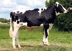 31 365 Cake VG 86 ( Shottle) Cookie VG 89 ( O-Man) Fudge VG 88 ( Durham) πλάτος λεκάνης ς 140027 DEU 0003449768 126 90 89 92 122 91 73 124 87 89 89 94 88 1496 CVF BLF BYC