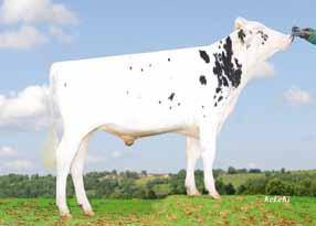 Chevrolet ( Freddie) Heaven VG 87 ( Snowman) La 1 16655 3.70 616 3.