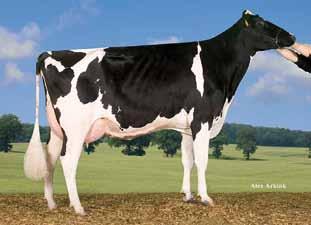 26 529 CB Heaven VG 87 ( Boliver) πλάτος λεκάνης ς 619 DNK 000000256831 121 121 99