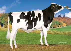 Model ( Robust) AS Heidi VG 86 ( Snowman) 151576 DNK 000000256827 Heidi GP 82 ( Shottle) La 1 16227 3.75 608 3.