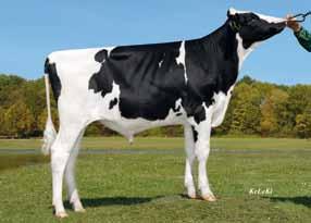 NICE EX 93 ( Manat) Natasha EX 92 ( Merv) πλάτος λεκάνης ς 112 117 126 130 112 91 123 108 108 88 88 112 112 124 121 114 804318 CVF BLF BYF CDP DEU