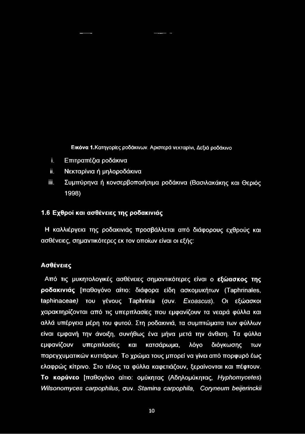 6 Εχθροί και ασθένειες της ροδακινιάς Η καλλιέργεια της ροδακινιάς προσβάλλεται από διάφορους εχθρούς και ασθένειες, σημαντικότερες εκ τον οποίων είναι οι εξής: Ασθένειες Από τις