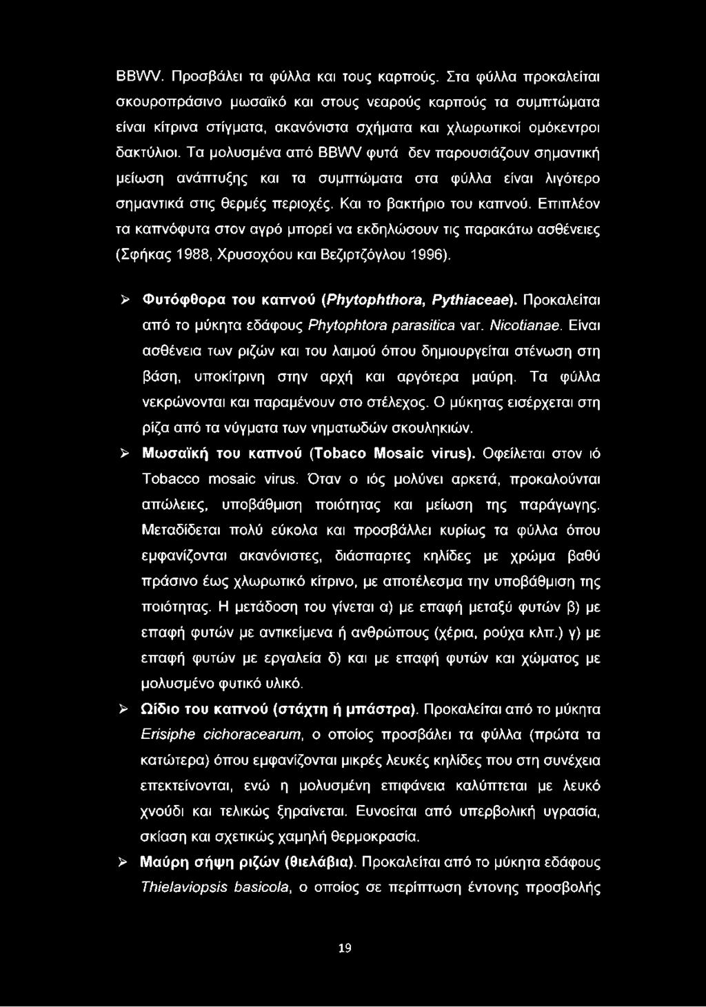 Τα μολυσμένα από BBWV φυτά δεν παρουσιάζουν σημαντική μείωση ανάπτυξης και τα συμπτώματα στα φύλλα είναι λιγότερο σημαντικά στις θερμές περιοχές. Και το βακτήριο του καπνού.