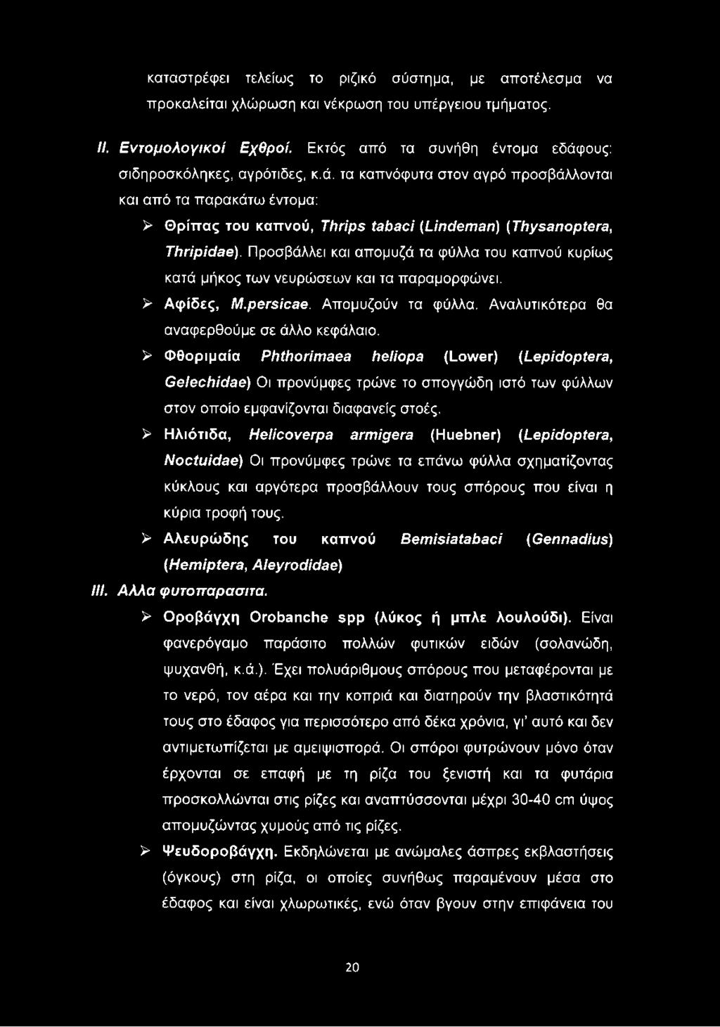 Προσβάλλει και απομυζά τα φύλλα του καπνού κυρίως κατά μήκος των νευρώσεων και τα παραμορφώνει. > Αψίδες, M.persicae. Απομυζούν τα φύλλα. Αναλυτικότερα θα αναφερθούμε σε άλλο κεφάλαιο.