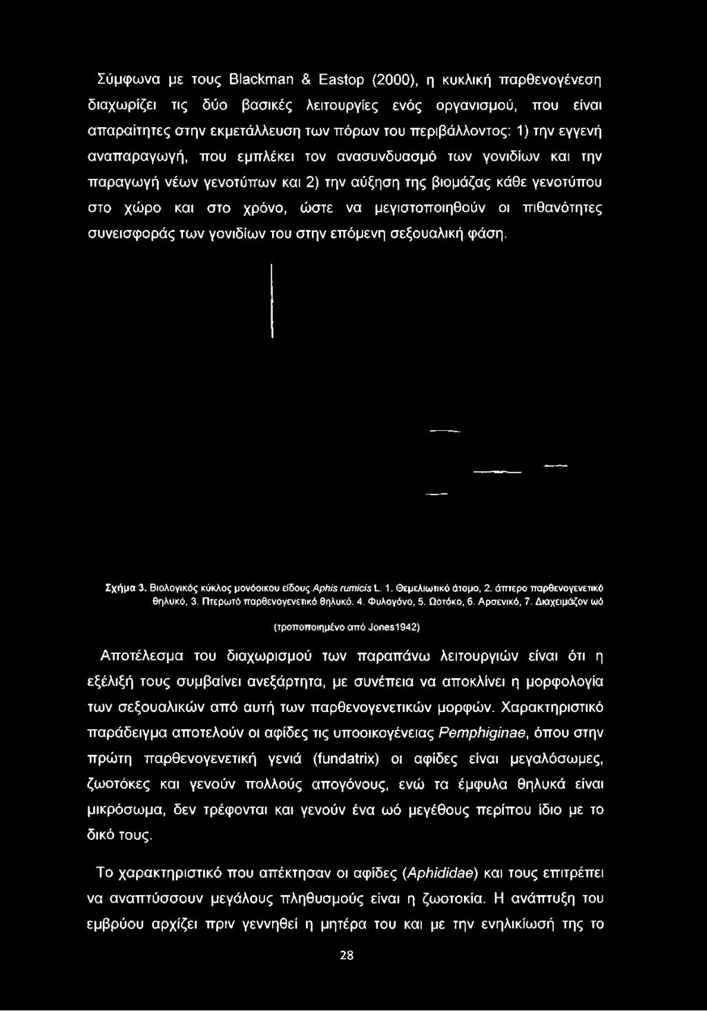 στο χρόνο, ώστε να μεγιστοποιηθούν οι πιθανότητες συνεισφοράς των γονιδίων του στην επόμενη σεξουαλική φάση. Σχήμα 3. Βιολογικός κύκλος μονόοικου είδους Aphis rumicis L. 1.