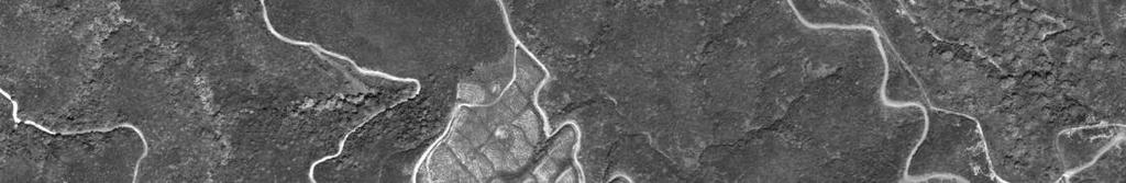 69 μm)