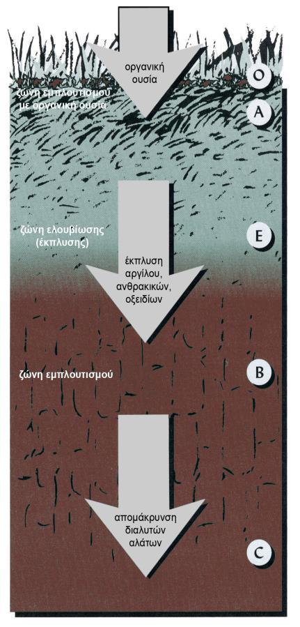 - 16 - Plinthite : Sulfuric horizon : Μαλακό, ισχυρά αποσαθρωμένο αργιλώδες υλικό με κατά θέσεις μεγάλη συγκέντρωση Fe που σκληραίνεται και δίνει πετρώδη μάζα όταν επανειλημμένα διαβρέχεται και