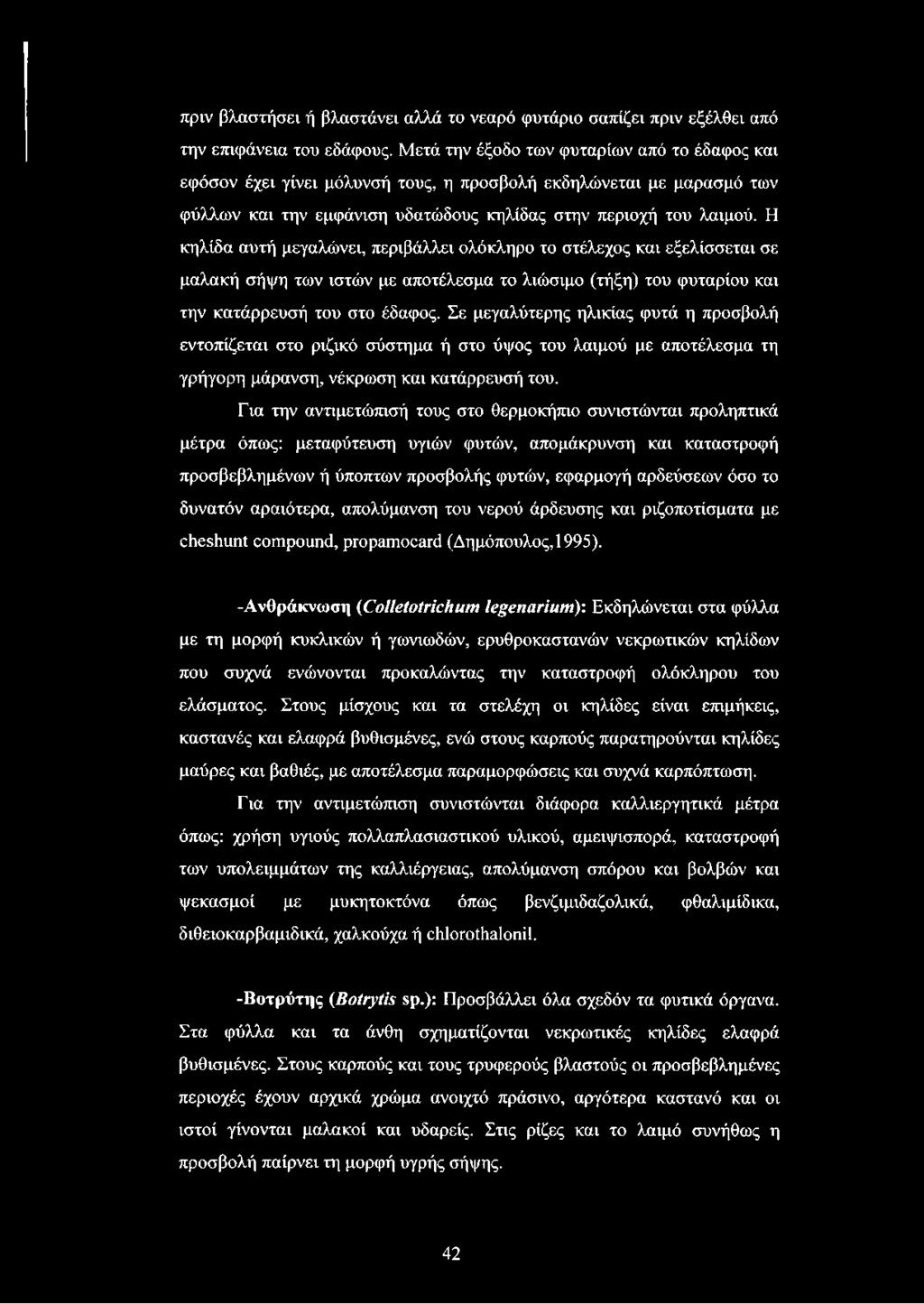 Η κηλίδα αυτή μεγαλώνει, περιβάλλει ολόκληρο το στέλεχος και εξελίσσεται σε μαλακή σήψη των ιστών με αποτέλεσμα το λιώσιμο (τήξη) του φυταρίου και την κατάρρευσή του στο έδαφος.