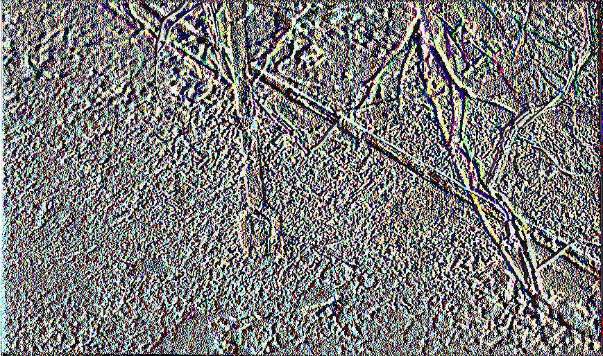 (300 ιηΐ).