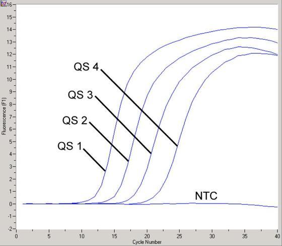 Εικ. 14: Ανίχνευση των προτύπων ποσοτικοποίησης (CMV QS 1 4) στο κανάλι φθορισμόμετρου F1 του