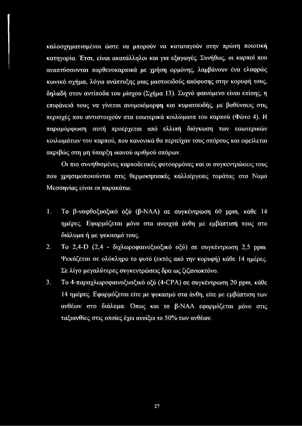 (Σχήμα 13). Συχνό φαινόμενο είναι επίσης, η επιφάνειά τους να γίνεται ανομοιόμορφη και κυματοειδής, με βαθύνσεις στις περιοχές που αντιστοιχούν στα εσωτερικά κοιλώματα του καρπού (Φώτο 4).