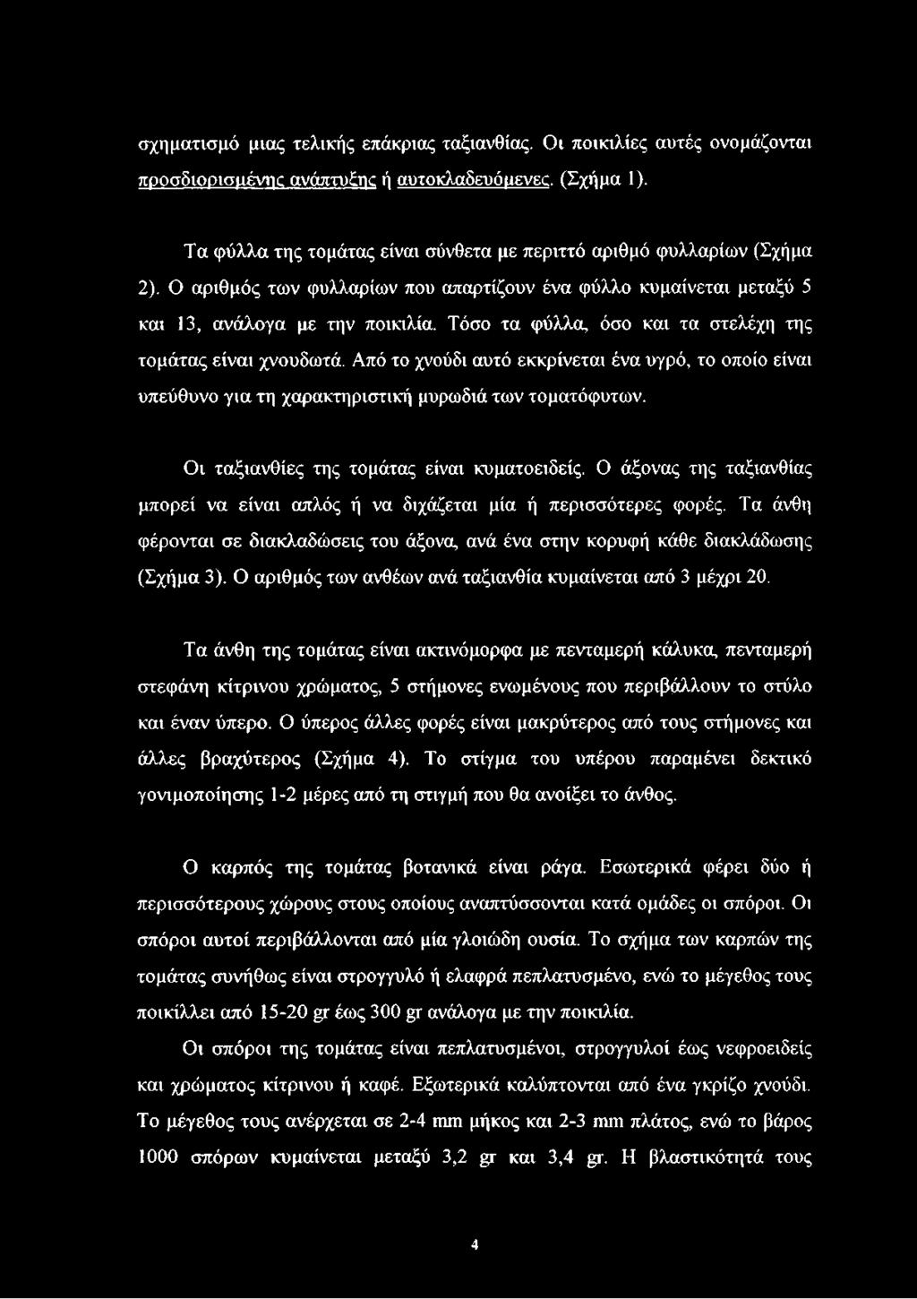 Τόσο τα φύλλα, όσο και τα στελέχη της τομάτας είναι χνουδωτά. Από το χνούδι αυτό εκκρίνεται ένα υγρό, το οποίο είναι υπεύθυνο για τη χαρακτηριστική μυρωδιά των τοματόφυτων.