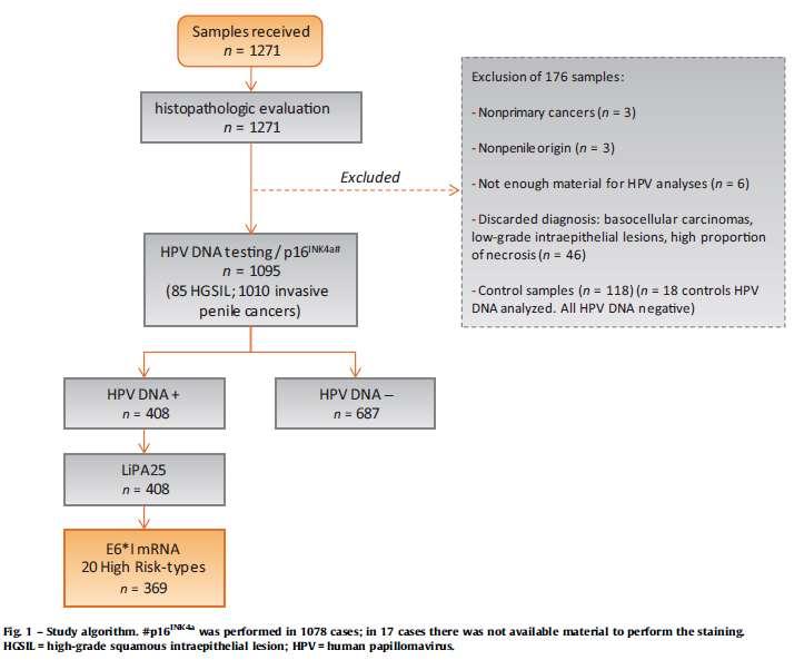 ΑΠΟΤΕΛΕΣΜΑΤΑ HPV DNA (+): 87,1%