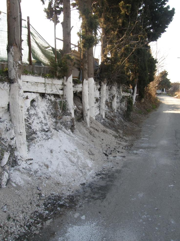 [14] Ο ίδιος χώρος, στις 19 Ιανουαρίου 2012.