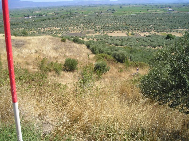 Η θέση της Κορώνειας ήταν πολύ σημαντική, γιατί σχηματιζόταν στην περιοχή της, ανάμεσα στο Τυλφώσιο βουνό και στη λίμνη τότε της Κωπαΐδας,
