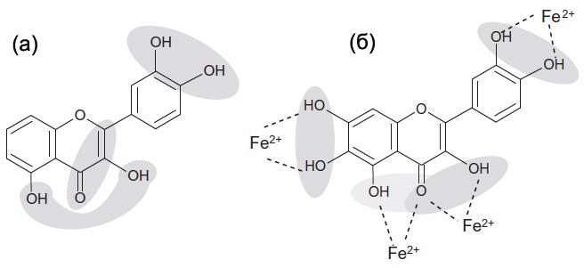 превентивни антиоксиданти: спречавају оксидацију без директне интеракције са оксидационим врстама. Слика 36. Структурне карактеристике које дефинишу антиоксидативну активност флавоноида (Fraga et al.