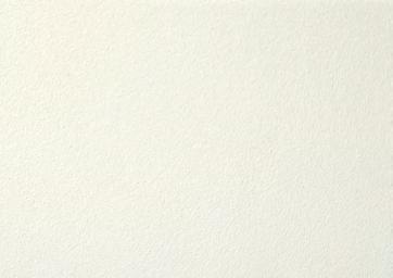 YD313F RAL 1015