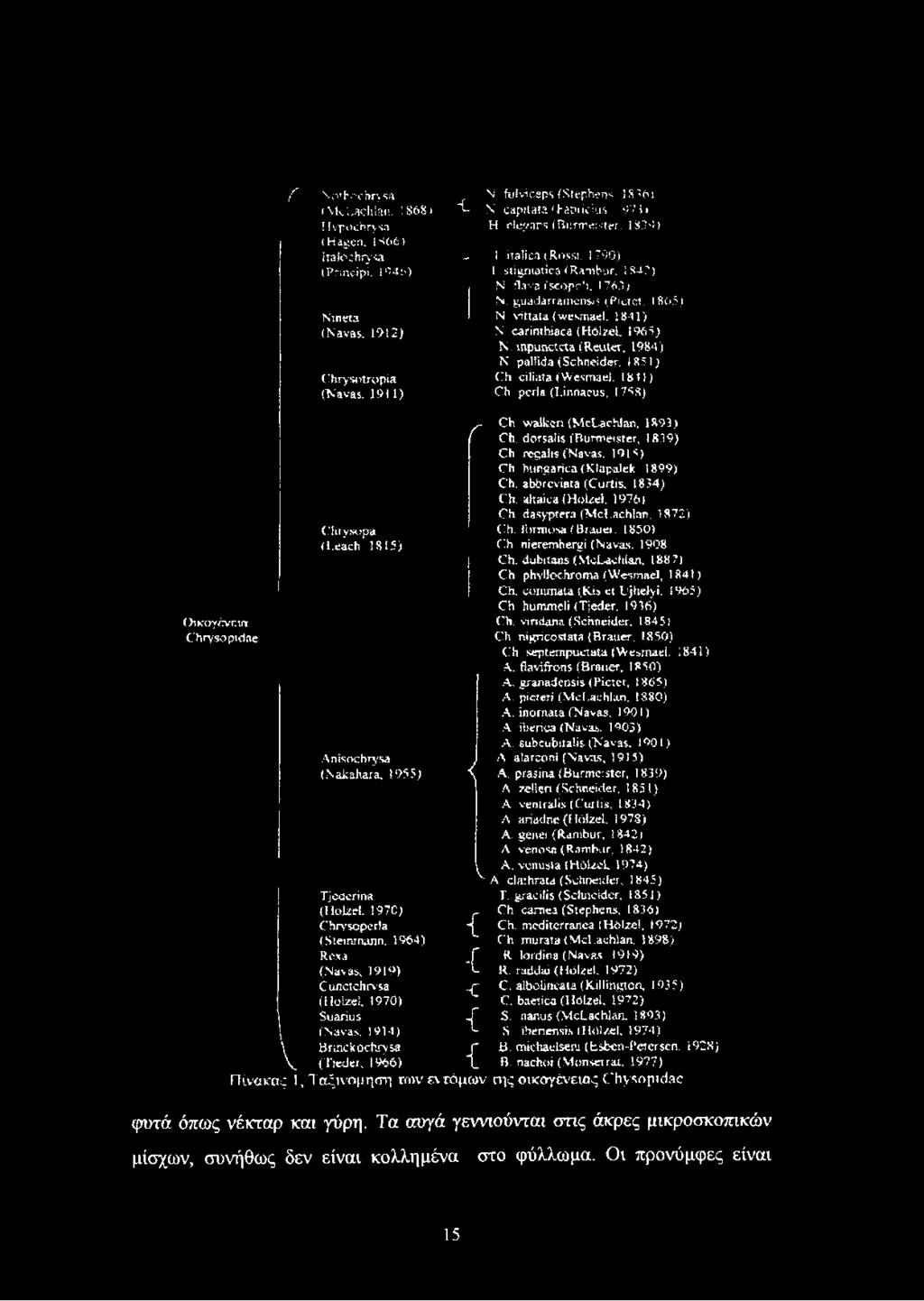 1914) Bnnckochrysa (Tjeder, 1966) Si. fu lv ie e p s (Stephens. 1836) ~í- N capitals (F a b iic k ts 9 7 π H. eleftans (Burmeister, 834) 1 it a lic s ( R o ssi, i 7 9 0 ) l stigmatica (Rambur, 1342.