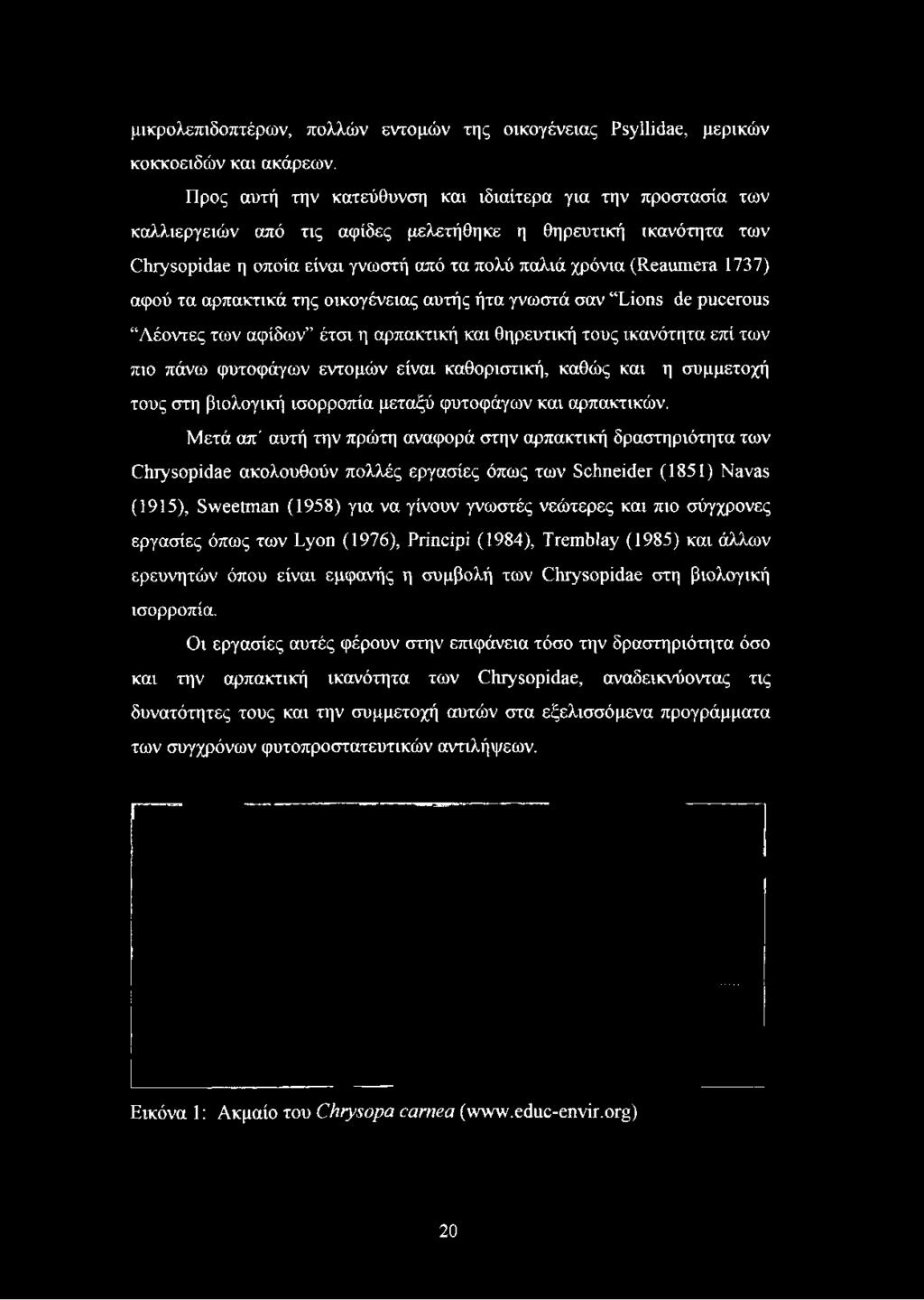 αφού τα αρπακτικά της οικογένειας αυτής ήτα γνωστά σαν Lions de pucerous Λέοντες των αφίδων έτσι η αρπακτική και θηρευτική τους ικανότητα επί των πιο πάνω φυτοφάγων εντομών είναι καθοριστική, καθώς