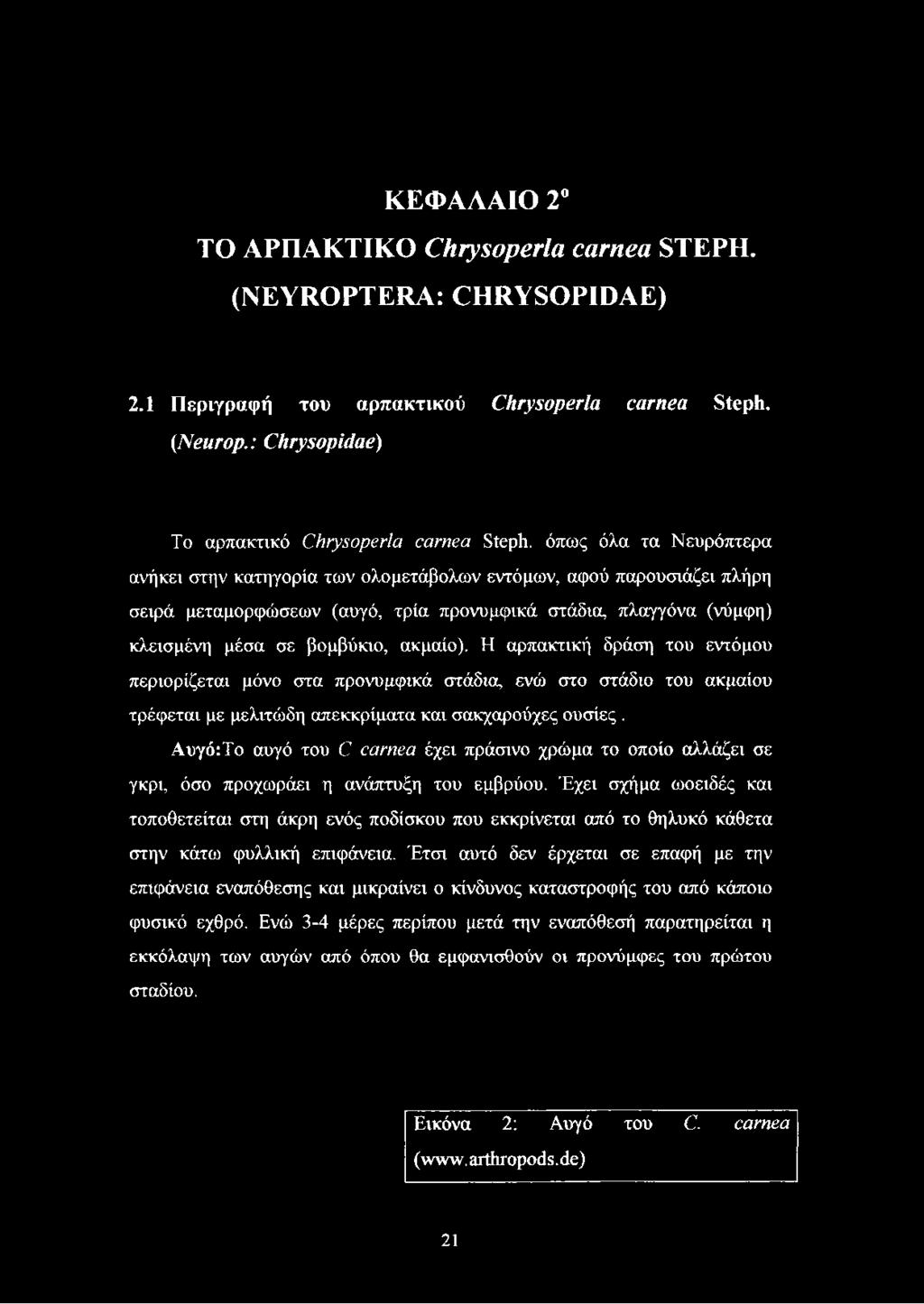 όπως όλα τα Νευρόπτερα ανήκει στην κατηγορία των ολομετάβολων εντόμων, αφού παρουσιάζει πλήρη σειρά μεταμορφώσεων (αυγό, τρία προνυμφικά στάδια, πλαγγόνα (νύμφη) κλεισμένη μέσα σε