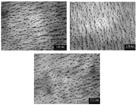 Desulfotomaculum sp mikroblarında PbS nanohissəciklərinin temperaturdan asılı olaraq formalaşması.