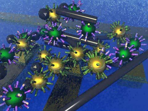 Diametri 5 nm olan qızıl nanohissəciklərinin (qızılı rəng), yarımkeçirici hissəciklərlə,