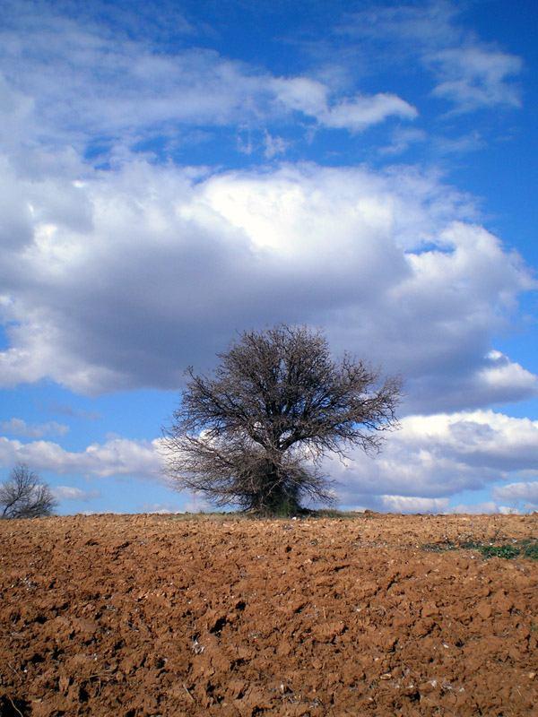 φαινόμενα