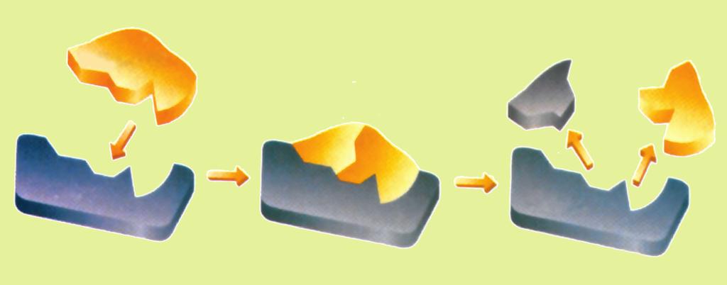 κλειδί-κλειδαριά. To υπόστρωμα (substrate), δηλαδή η ουσία που καταλύεται ενώνεται με την ενεργό περιοχή του ενζύμου (active site), με διαμοριακούς δεσμούς Van der Waals.