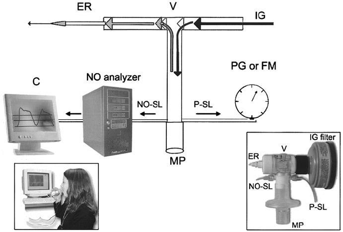 (ATS/ERS,2005) Εικόνα 4: Σχηματική παράσταση της άμεσης μέτρησης eno με εφαρμογή μικρής αντίστασης κατά την εκπνοή.