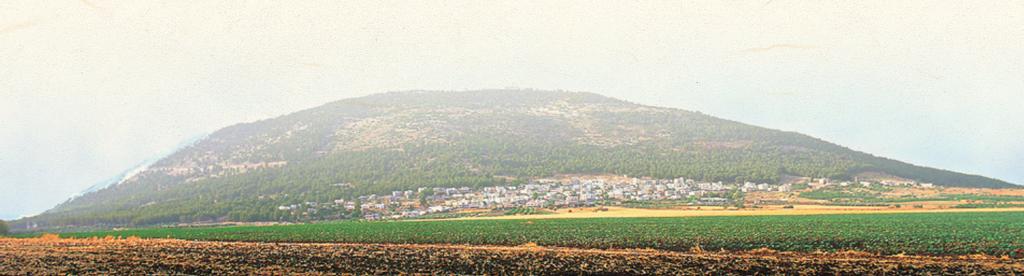 ρουσίου καὶ Ὠρωποῦ. 7:00 μ.