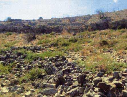 Παρουσιάζονται οι τρόποι µε τους οποίους υλοποιούνται οι διατάξεις µέτρησης, τα όργανα που χρησιµοποιούνται και ο σχεδιασµός για την πραγµατοποίηση της γεωφυσικής έρευνας. 2.1.