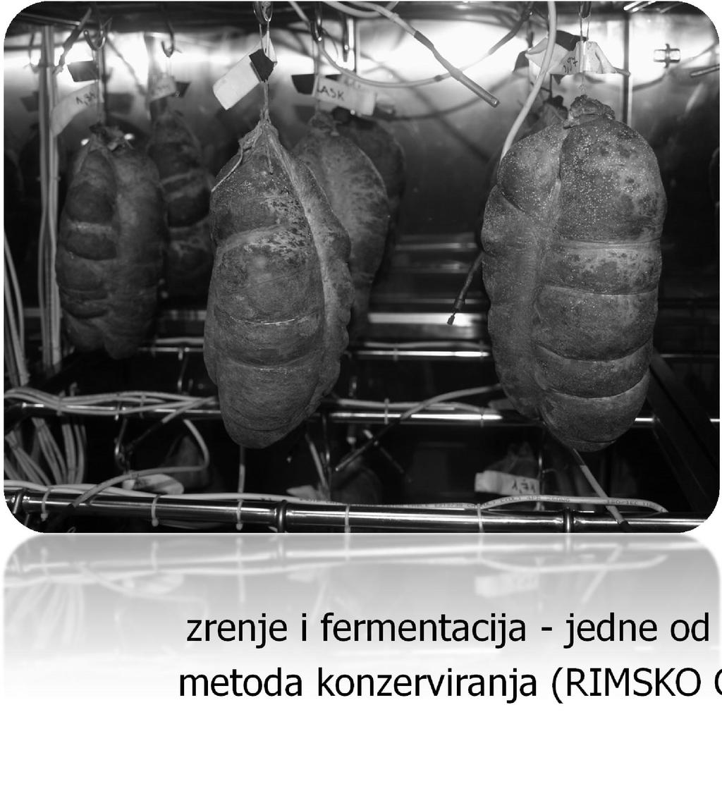 zrenje i fermentacija - jedne od
