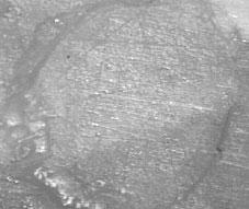 100 A-PC