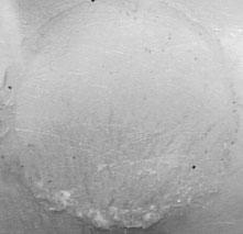 101 Á-RC-BOND C-RC-BOND