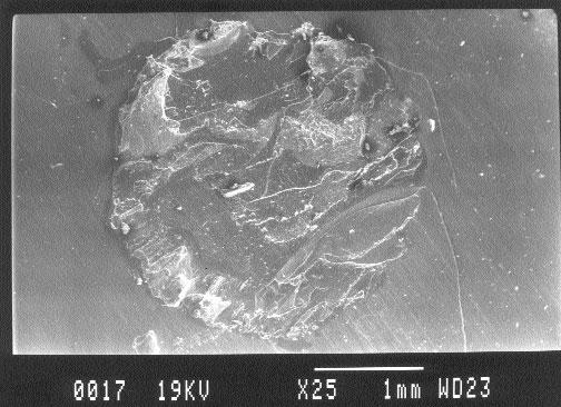 94 Εικόνα 48: Δοκίμιο της ομάδος C-CIT-Bond.